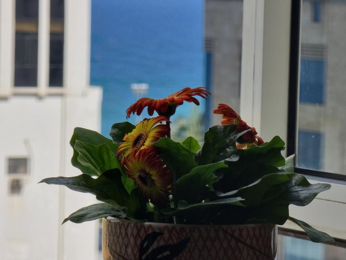 Delicate Serviced Apartment And Hotel Da Nang Exteriör bild